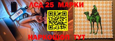 прущие грибы Славянск-на-Кубани