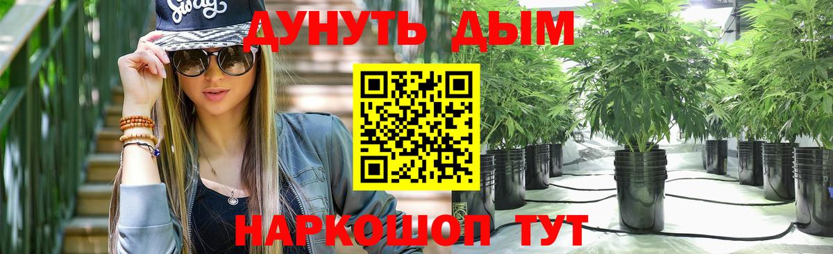 Каннабис Bruce Banner  Вход с VPN  Конопля OG Kush  Каннабис конопля  Ноябрьск 